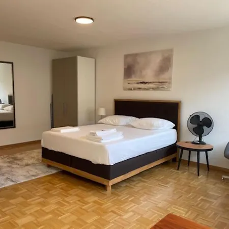 Daire Practical And Cozy - Art 6 Zürih